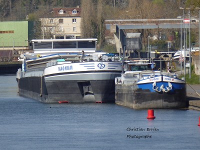 Cook Magnum Champagne.JPG (233.47 Kio) Vu 1311 fois Cook Magnum Champagne.JPG