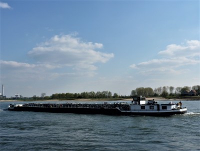 Rita-3-11-04-2019-Oosterhout (2).JPG (143.67 Kio) Vu 1114 fois Rita-3-11-04-2019-Oosterhout (2).JPG