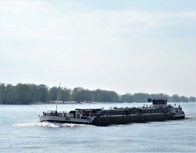 Rita-1-11-04-2019-Oosterhout (2).JPG (142.26 Kio) Vu 1111 fois Rita-1-11-04-2019-Oosterhout (2).JPG