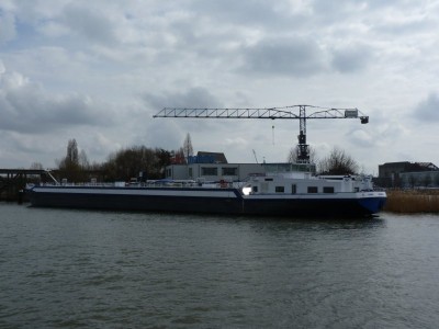 flava-1-27-03-2010.jpg