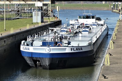 Flava-1-02-03-2021-sluis-Grave (2).JPG