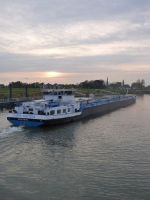 carpe-noctum-5-27-10-2009.jpg