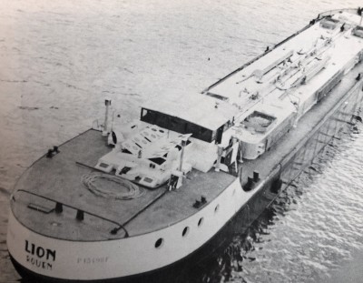 Lion-ar@fb.jpg