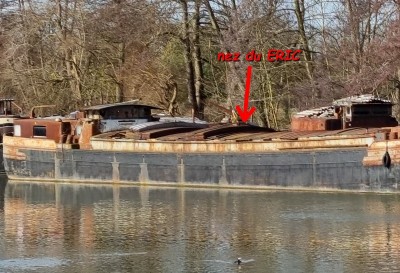 Wirotius ( nez du ERIC ).jpg (164.4 Kio) Vu 5609 fois Wirotius ( nez du ERIC ).jpg