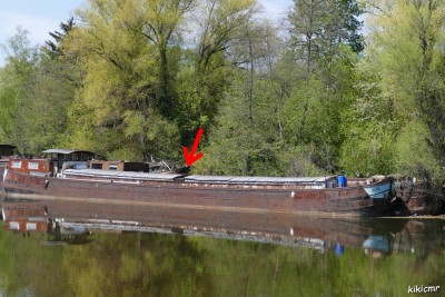 Wirotius - inconnu 2 (1).JPG (228.13 Kio) Vu 5609 fois Wirotius - inconnu 2 (1).JPG