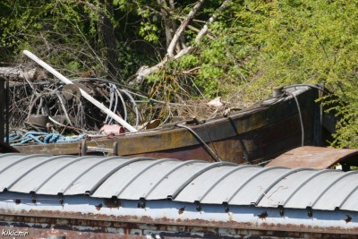 Wirotius - inconnu 2 (2).JPG (217.25 Kio) Vu 5684 fois Wirotius - inconnu 2 (2).JPG