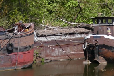 Wirotius - inconnu 2 (3).JPG (199.24 Kio) Vu 5684 fois Wirotius - inconnu 2 (3).JPG