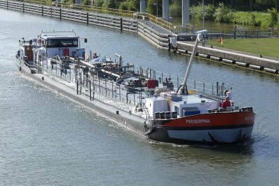 Proserpina-4-29-07-2020-sluis-Sambeek (2).JPG
