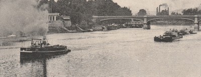 Robuste - 10y.jpg (173.86 Kio) Vu 1769 fois Robuste - 10y.jpg