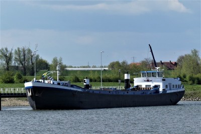 Pieternella-1-02-05-2021-Driel (2).JPG (189.42 Kio) Vu 1739 fois Pieternella-1-02-05-2021-Driel (2).JPG