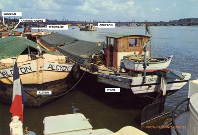 ALCYON Vagus 06.jpg (247.18 Kio) Vu 2623 fois ALCYON Vagus 06.jpg