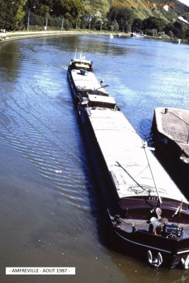 Amfreville Vagus.jpg (84.38 Kio) Vu 1619 fois Amfreville Vagus.jpg