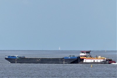 Timmy-1-18-05-2021-Harlingen (2).JPG (139.48 Kio) Vu 1479 fois Timmy-1-18-05-2021-Harlingen (2).JPG