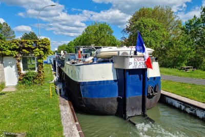 JOSHUA - Hénaménil - 29 mai 2021 (2).jpg (221.31 Kio) Vu 2220 fois JOSHUA - Hénaménil - 29 mai 2021 (2).jpg