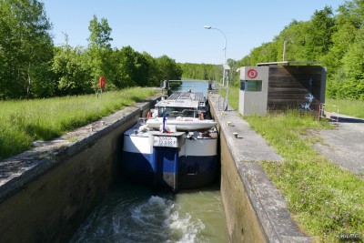 JOSHUA - Belles-Forêts - 30 mai 2021 (2).jpg