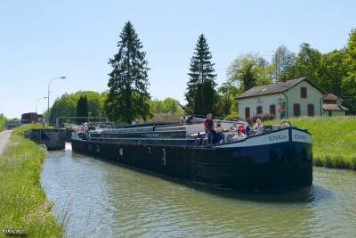 JOSHUA - Belles-Forêts - 30 mai 2021 (1).jpg