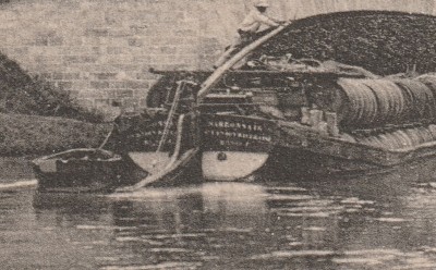 NARBONNAIS Vagus 04.jpg (166.31 Kio) Vu 1538 fois NARBONNAIS Vagus 04.jpg