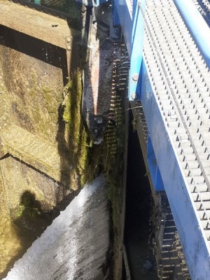 28 (Copier).jpg (105.96 Kio) Vu 10717 fois 28 (Copier).jpg