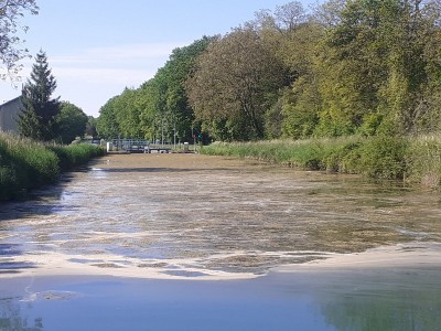 29 (Copier).jpg (171.12 Kio) Vu 11068 fois 29 (Copier).jpg