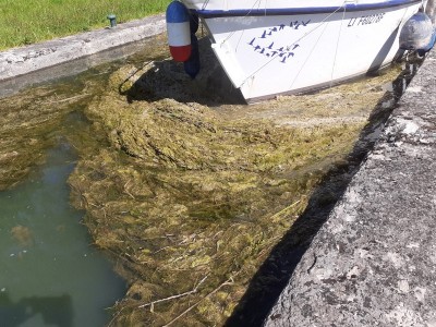 29 bis (Copier).jpg (204.05 Kio) Vu 11324 fois 29 bis (Copier).jpg