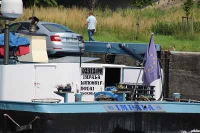 IMG_2639_1.JPG (131.75 Kio) Vu 1339 fois IMG_2639_1.JPG