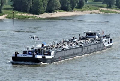 Anna-1-11-06-2021-Ewijk (2).JPG (268.35 Kio) Vu 2135 fois Anna-1-11-06-2021-Ewijk (2).JPG