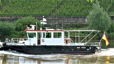 Bernkastel-Kues-5-28-06-2016-Trittenheim (2).JPG