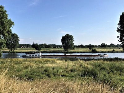 Deo-Volente-08-07-2021-Niftrik (2).jpg