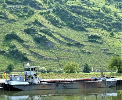 KP-1843-3-10-07-2016 (2).JPG (388.19 Kio) Vu 1298 fois KP-1843-3-10-07-2016 (2).JPG