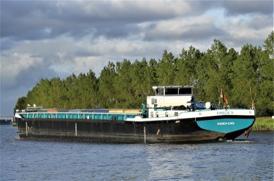 Emelie-D-5-05-06-2020-Stroobos (2).JPG (238.84 Kio) Vu 1291 fois Emelie-D-5-05-06-2020-Stroobos (2).JPG