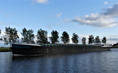 Emelie-D-2-05-06-2020-Stroobos (2).JPG (202.64 Kio) Vu 1291 fois Emelie-D-2-05-06-2020-Stroobos (2).JPG