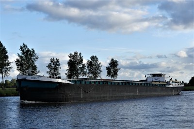 Emelie-D-1-05-06-2020-Stroobos (2).JPG (203.96 Kio) Vu 1291 fois Emelie-D-1-05-06-2020-Stroobos (2).JPG