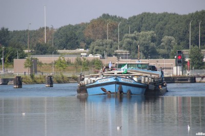 IMG_3082_1.JPG