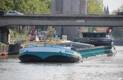 IMG_3117_1.JPG