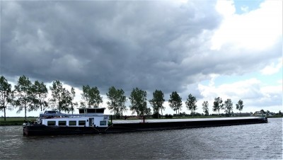 Vista-Bonita-3-06-06-2020-Stroobos (2).JPG (168.62 Kio) Vu 2299 fois Vista-Bonita-3-06-06-2020-Stroobos (2).JPG