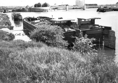 PH-montereau-elan+caiman.jpg (991.22 Kio) Vu 895 fois PH-montereau-elan+caiman.jpg