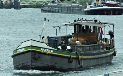 Fourage-III-1-01-07-2020-sluis-Lith (2).JPG (210.43 Kio) Vu 3102 fois Fourage-III-1-01-07-2020-sluis-Lith (2).JPG