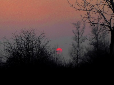 PICT2151SOLEILI.jpg (104.73 Kio) Vu 1063 fois PICT2151SOLEILI.jpg