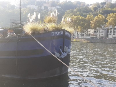 friponne (Copier).jpg