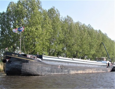 ro-ja-1-24-04-2009 (2).JPG