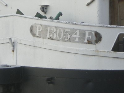 IMGP0246 [800x600].JPG