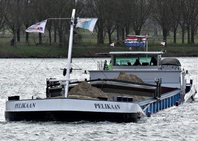 Pelikaan-4-13-03-2021-sluis-Grave (2).JPG