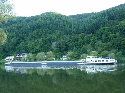 Leyla-5-09-07-2016-Traben-Trarbach.JPG (236.82 Kio) Vu 4001 fois Leyla-5-09-07-2016-Traben-Trarbach.JPG