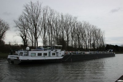 IMG_3736_1.JPG