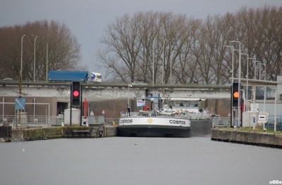 IMG_3731_1.JPG