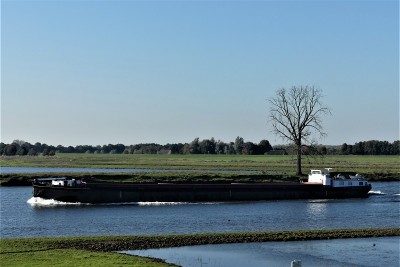 Tesco-8-3-28-10-2021-Grave (2).JPG (178.38 Kio) Vu 1667 fois Tesco-8-3-28-10-2021-Grave (2).JPG