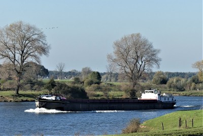 Tesco-8-1-28-10-2021-Grave (2).JPG (223.62 Kio) Vu 1672 fois Tesco-8-1-28-10-2021-Grave (2).JPG