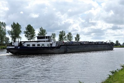 Cristoph-4-07-06-2020-Stroobos (2).JPG (234.02 Kio) Vu 1032 fois Cristoph-4-07-06-2020-Stroobos (2).JPG