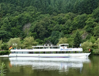 Mosel-Perle-1-Traben-Trarbach-1-05-07-2016 (2).JPG