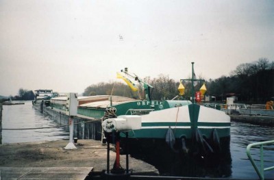 orphie-villeperrot-07_12_2004.jpg